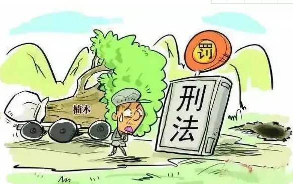 滥伐林木罪刑事辩护要点